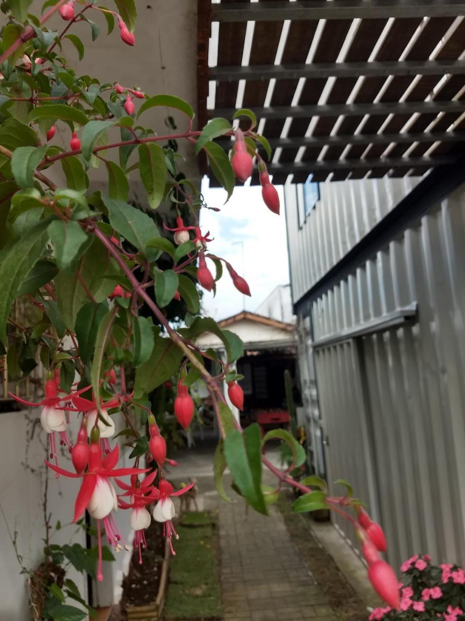 Albergue Vo Vicente